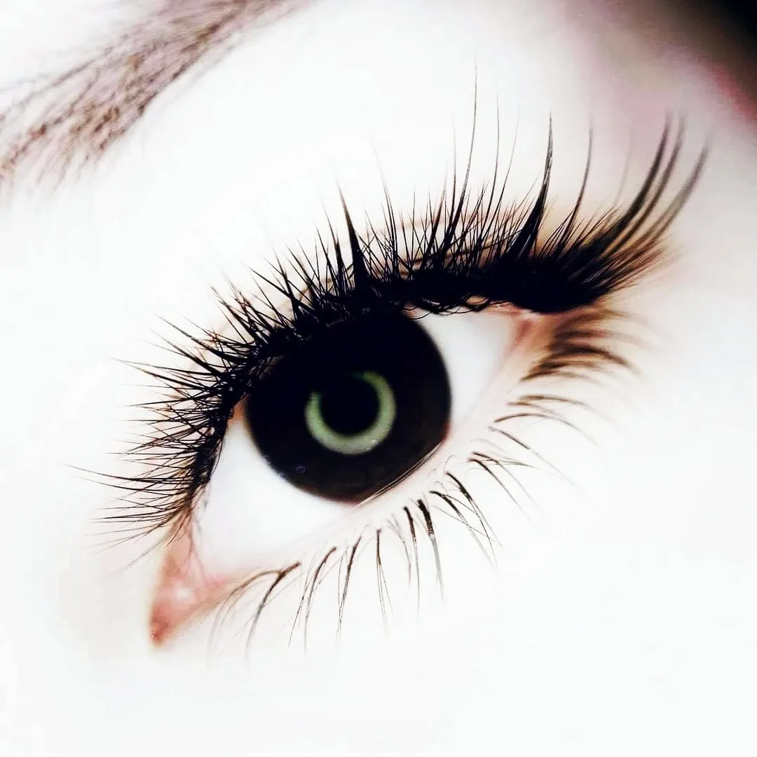 Volume lash extensions — macro eye on white