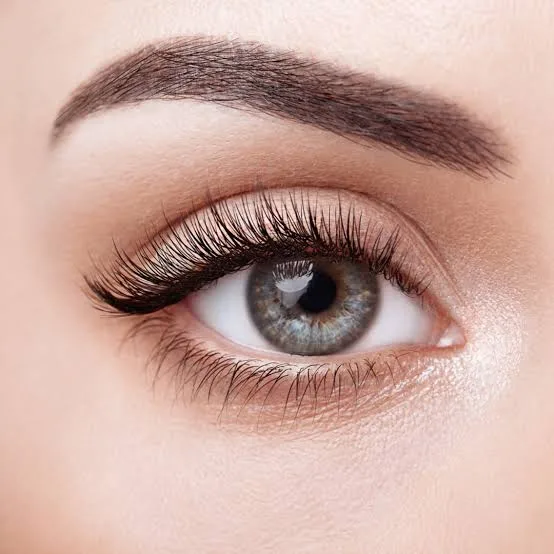Lash extension detail — single eye macro