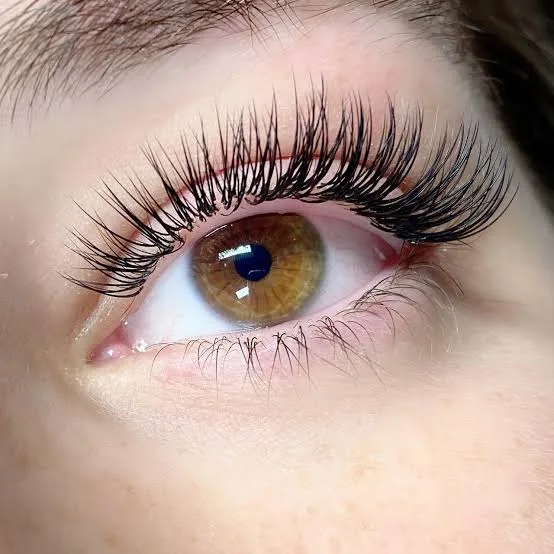 Natural lash line — macro single eye